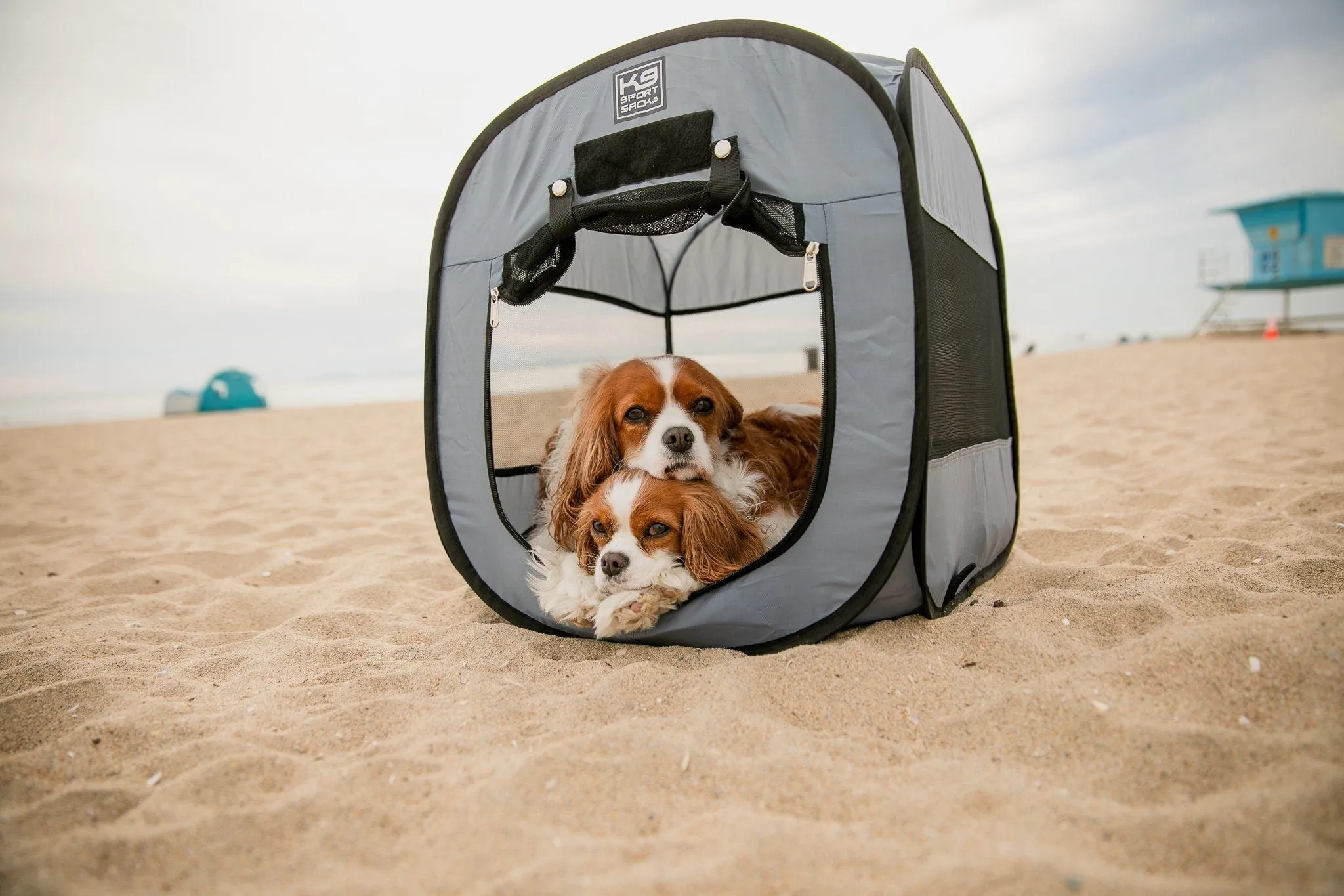 K9 Kennel Pop-Up Dog Tent