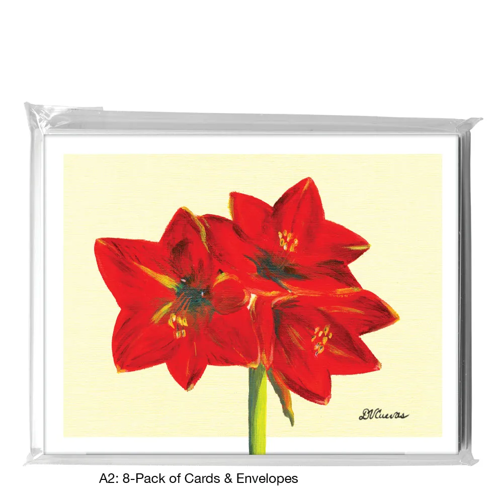 Red Lion Amaryllis, Greeting Card (7356F)