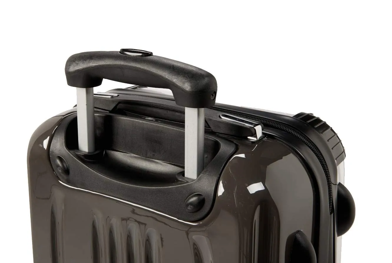 X-Ray Reptile Suitcase / Luggage