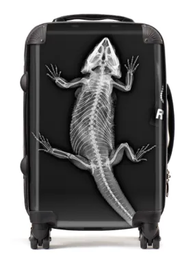 X-Ray Reptile Suitcase / Luggage